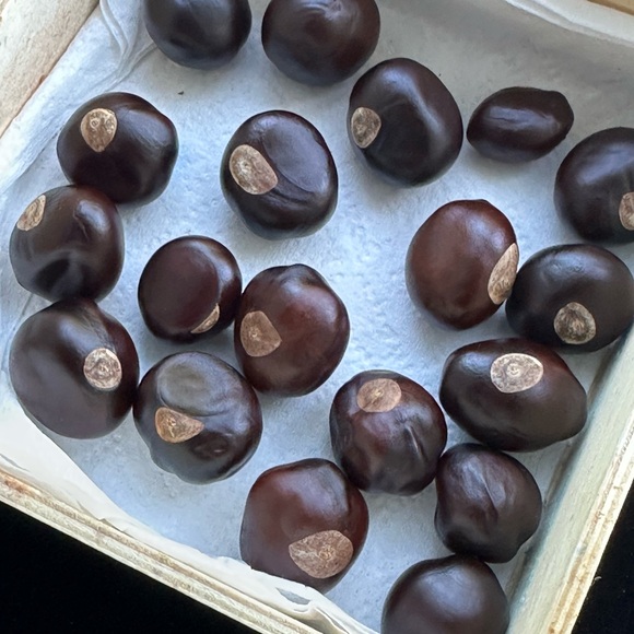 Buckeye Nuts 7 for $5 - Picture 1 of 2